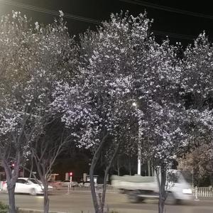 故乡的云头像