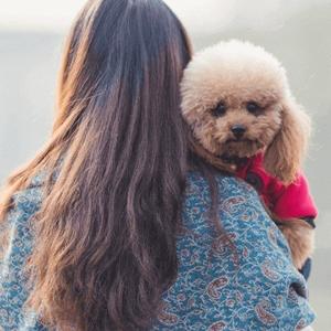 戏游剧头像