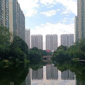 张闲游头像