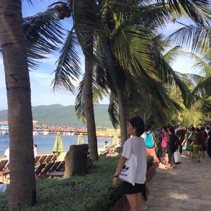 Amyli李头像