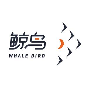 深圳鲸鸟集运头像