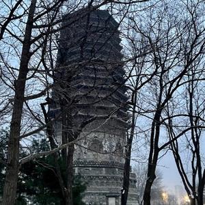 豁达的心好头像