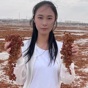 西域华腾新疆特产美食头像