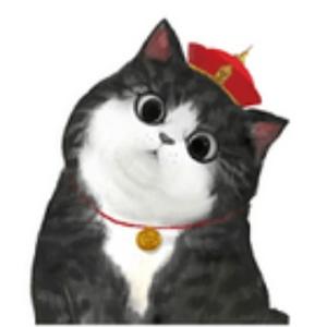 2019年的纳博肖和头像