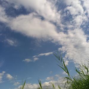 蓝天白云头像