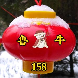 鲁牛158头像