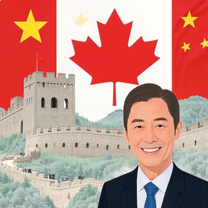 中加洞察头像