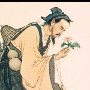 杏林传承头像