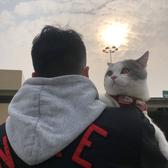 G圆碌碌头像