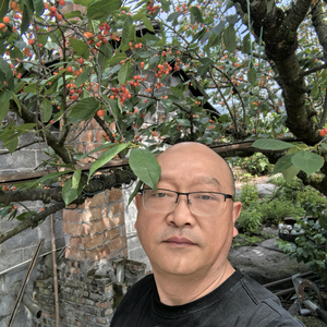 孤独的狼头像