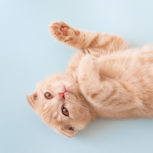 第三人称影视 头像