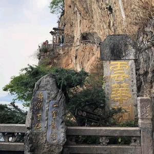 hi七七影视头像