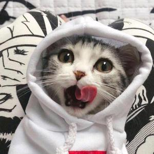 无敌的青蛙头像