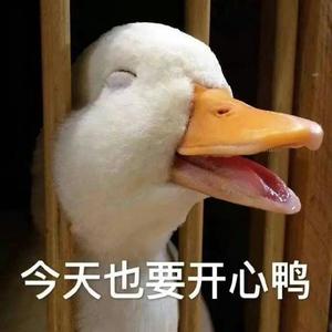 菩提心事头像