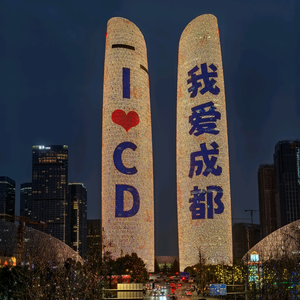 王锅头像