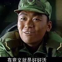 丰富达文西头像