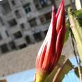 进取夏日头像