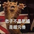 鸟十三头像