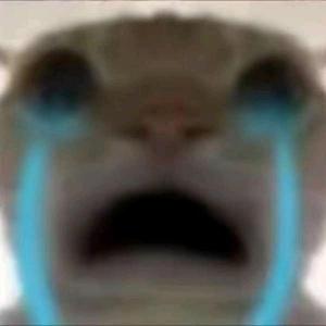 牢哒热爱肘击 头像