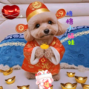 琥珀小格格麻麻头像