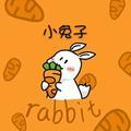 rabbit手作coral头像