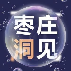 我是枣庄洞见头像
