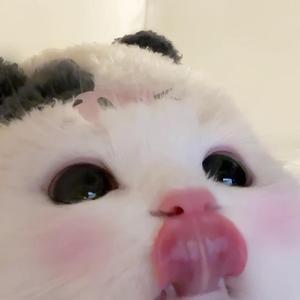 一莓七头像