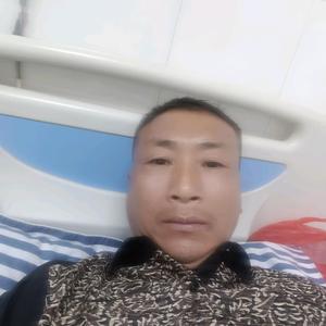 分秒必争仙人指路头像