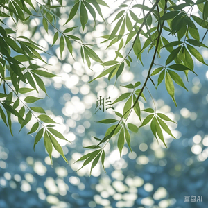 清风影头像