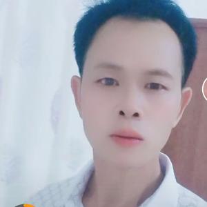 正大光明枫叶6头像