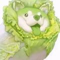猪菜花呀头像