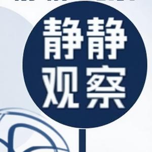 静静的观察头像