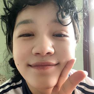 顺毛驴头像