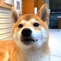 排位日常头像