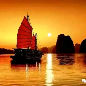 游任龙头像