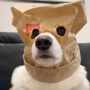 阿京头像