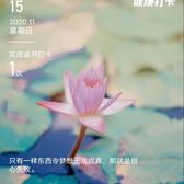 魔法师凤城0Y7头像