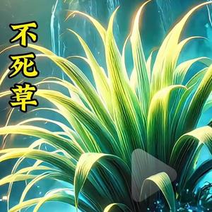 怪盗一枝竹头像