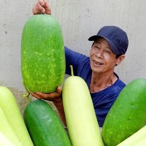 雨露园艺头像