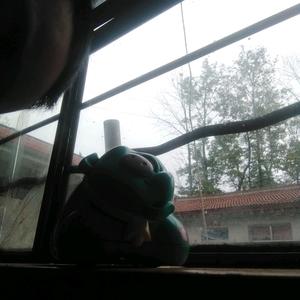 快乐轮船7z4q头像