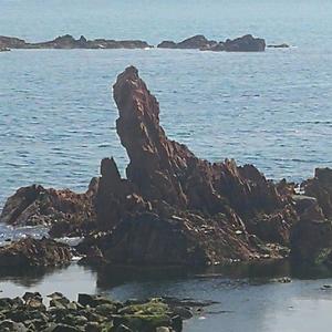 鲁兵4Z1t头像