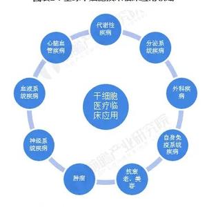 干细胞临床转化应用头像