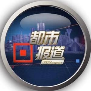 河南都市报道头像