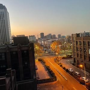 窗外喜鹊飞头像