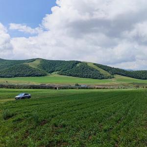 云山海头像