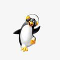LittlePenguin头像