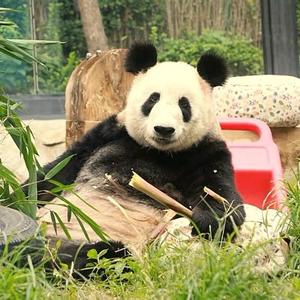 游侠灬先森头像