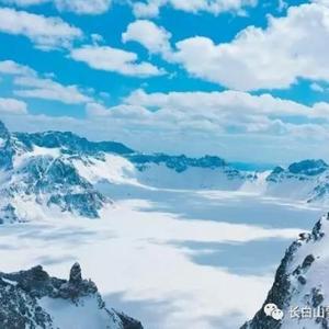 森林大地头像