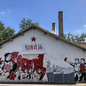 大丰区上海知青纪念馆头像
