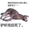 那些年的有趣的事头像